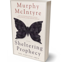 Tablet view of Baltic Sea #6103 - Premade Self-Improvement & Self-Help Book Cover