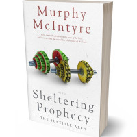 Tablet view of Concrete #6112 - Premade Health & Dieting & Fitness Book Cover