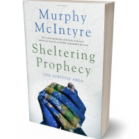 Tablet view of San Juan #6120 - Premade Abstract Book Cover