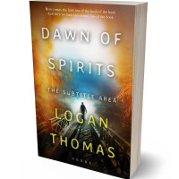 3D view of Premade Paranormal & Urban Book Cover - Driftwood