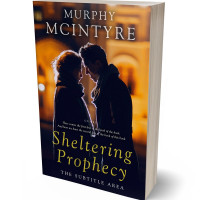 3D view of Premade Romance Book Cover - Cinder