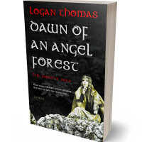 3D view of Soft Amber #6252 - Premade Fantasy Book Cover