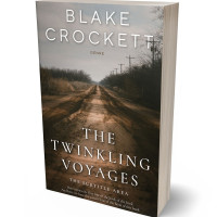 Tablet view of Birch #6339 - Premade Action & Adventure Book Cover | BookCoverZone