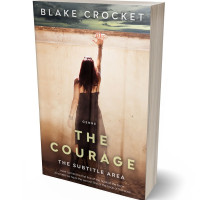 3D view of Premade Mystery & Thriller & Suspense Book Cover - Cocoa Brown