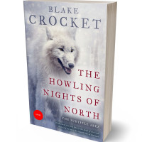 Tablet view of Gray Suit #6379 - Premade Mystery & Thriller & Suspense Book Cover