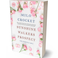 Tablet view of Dawn Pink #6429 - Premade Romance Book Cover | BookCoverZone