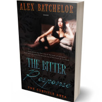 Tablet view of Cod Gray #6512 - Premade Erotica Book Cover