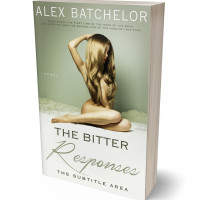 Tablet view of Foggy Gray #6518 - Premade Erotica Book Cover