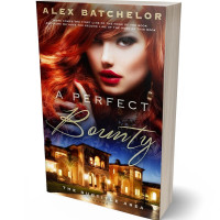 Tablet view of Cocoa Bean #6527 - Premade Chick Lit Book Cover