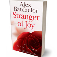 Tablet view of Fantasy #6566 - Premade Romance Book Cover