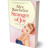 Tablet view of Albescent White #6569 - Premade Literary Fiction Book Cover