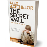 Tablet view of English Walnut #6602 - Premade Teen & Young Adult Book Cover | BookCoverZone