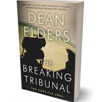 Tablet view of Pavlova #6648 - Premade Action & Adventure Book Cover