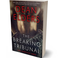 3D view of Premade Erotica Book Cover - Thunder