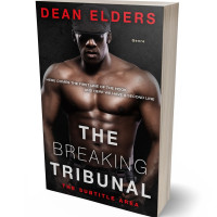 Tablet view of Cocoa Brown #6686 - Premade Erotica Book Cover