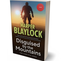 Tablet view of Tan #6743 - Premade Mystery & Thriller & Suspense Book Cover | BookCoverZone