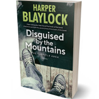 Tablet view of Outer Space #6745 - Premade Abstract Book Cover