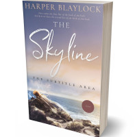 Tablet view of Shady Lady #6752 - Premade Romance Book Cover