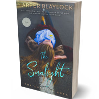 Tablet view of Ship Gray #6772 - Premade Teen & Young Adult Book Cover