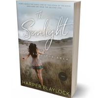 Tablet view of Silver Sand #6773 - Premade Romance Book Cover