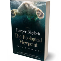 Tablet view of Tea #6810 - Premade Action & Adventure Book Cover | BookCoverZone