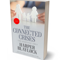 Tablet view of Swiss Coffee #6825 - Premade Politics & Law & Society Book Cover