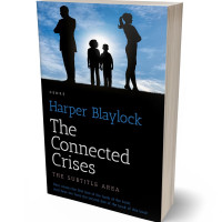 Tablet view of Pigeon Post #6827 - Premade Politics & Law & Society Book Cover | BookCoverZone