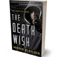 3D view of Premade Mystery & Thriller & Suspense Book Cover - Woodsmoke