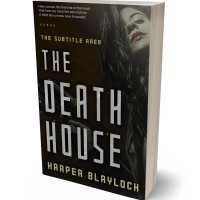 3D view of Oil #6836 - Premade Mystery & Thriller & Suspense Book Cover