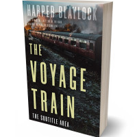 Tablet view of Chino #6862 - Premade Travel Book Cover