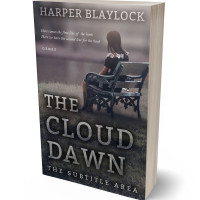 3D view of Ship Gray #6884 - Premade Teen & Young Adult Book Cover