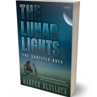 Tablet view of Blue Dianne #6885 - Premade Travel Book Cover