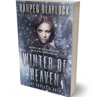 3D view of Premade Mystery & Thriller & Suspense Book Cover - Trout