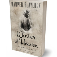 Tablet view of Bison Hide #6915 - Premade Historical Book Cover