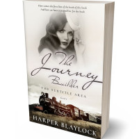 Tablet view of Birch #6931 - Premade Romance Book Cover