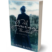 Tablet view of Nebula #6933 - Premade Mystery & Thriller & Suspense Book Cover