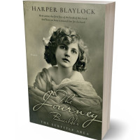 Tablet view of Flax Smoke #6935 - Premade Historical Book Cover