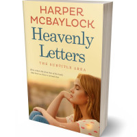 Tablet view of Potters Clay #6950 - Premade Teen & Young Adult Book Cover | BookCoverZone