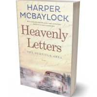 Tablet view of Aths Special #6957 - Premade Travel Book Cover