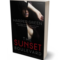 Tablet view of Black #6965 - Premade Erotica Book Cover