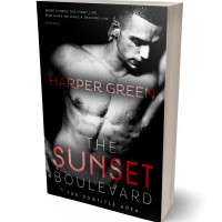 Tablet view of Pink Swan #6969 - Premade Erotica Book Cover