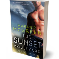 Tablet view of Charade #6971 - Premade Erotica Book Cover