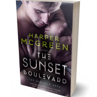 Tablet view of Thunder #6972 - Premade Erotica Book Cover