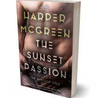 Tablet view of Woody Brown #6975 - Premade Erotica Book Cover