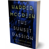 3D view of Ebony #6980 - Premade Erotica Book Cover | BookCoverZone