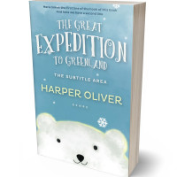 Tablet view of Glacier #6994 - Premade Abstract Book Cover