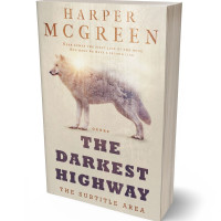 Tablet view of Wafer #7030 - Premade Mystery & Thriller & Suspense Book Cover