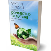 Tablet view of Ziggurat #7181 - Premade Nature Book Cover