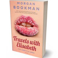 Tablet view of Manhattan #7286 - Premade Erotica Book Cover