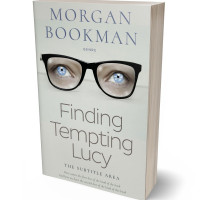 Tablet view of Celeste #7330 - Premade Abstract Book Cover